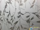 Patterned acid etched glass